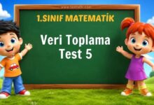 Veri Toplama Test 5