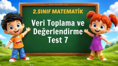 Veri Toplama ve Değerlendirme Test 7