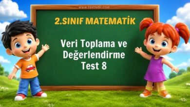 Veri Toplama ve Değerlendirme Test 8