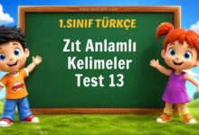 Zıt Anlamlı Kelimeler Test 13