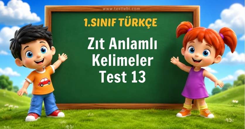 Zıt Anlamlı Kelimeler Test 13