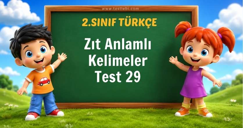 Zıt Anlamlı Kelimeler Test 29