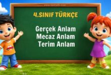 mecaz anlam