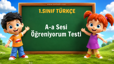 1. Sınıf A-a Sesi Öğreniyorum Testi