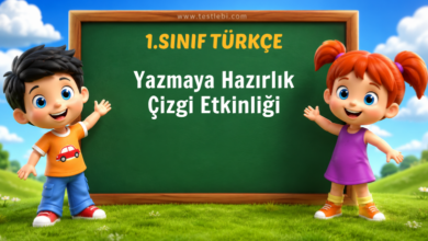 1. sınıf çizgi çalışması yatay dikey eğik kavisli dalgalı ve zikzak çizgiler