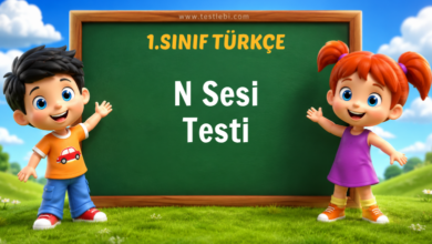 1. Sınıf Türkçe N Sesi Testi
