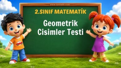 2. Sınıf Geometrik Cisimler Testi