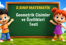 2. Sınıf Geometrik Cisimler ve Özellikleri Testi