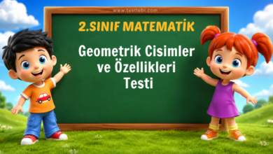 2. Sınıf Geometrik Cisimler ve Özellikleri Testi