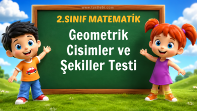 2. Sınıf Geometrik Cisimler ve Şekiller Testi