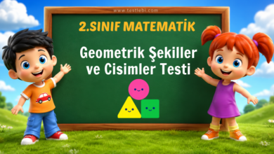 2. Sınıf Geometrik Şekiller ve Cisimler Testi