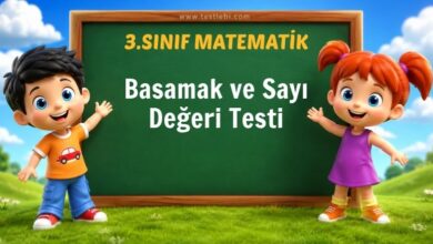 3. Sınıf Basamak ve Sayı Değeri Testi