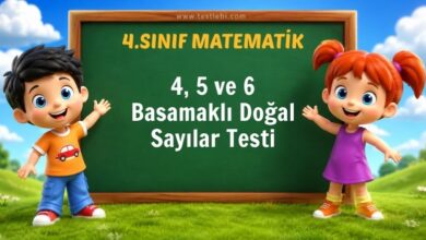 4, 5 ve 6 Basamaklı Doğal Sayılar Testi