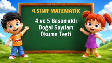 4. Sınıf 4 ve 5 Basamaklı Doğal Sayıları Okuma Testi