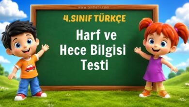 4. Sınıf Türkçe Harf ve Hece Bilgisi Testi