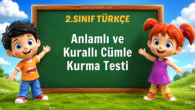 Anlamlı ve Kurallı Cümle Kurma Testi