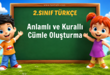 Anlamlı ve Kurallı Cümle Oluşturma