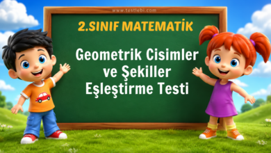 Geometrik Cisimler ve Şekiller Eşleştirme Testi