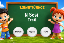 N-n Sesi Testi
