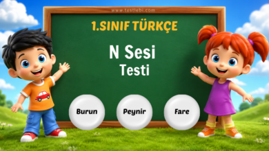 N-n Sesi Testi