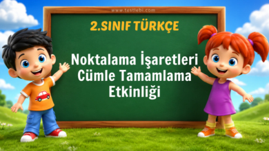 Noktalama İşaretleri Cümle Tamamlama Etkinliği