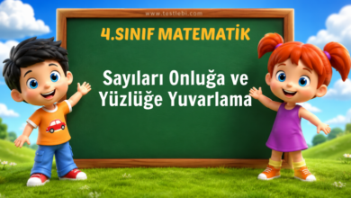 Sayıları Onluğa ve Yüzlüğe Yuvarlama