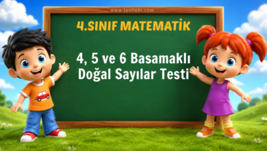 Sınıf 4, 5 ve 6 Basamaklı Doğal Sayılar Testi