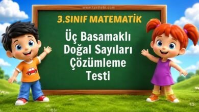 Üç Basamaklı Doğal Sayıları Çözümleme Testi