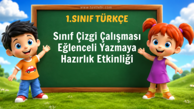 cizgi_calismasii