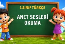 1. SINIF ANET SESLERİ OKUMA