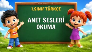 1. SINIF ANET SESLERİ OKUMA