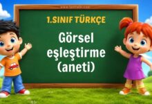 1. Sınıf Görsel eşleştirme (aneti)