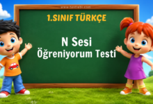 1. Sınıf N Sesi Öğreniyorum Testi