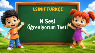 1. Sınıf N Sesi Öğreniyorum Testi