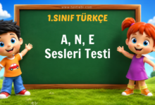 1. Sınıf Türkçe A, N, E Sesleri Testi