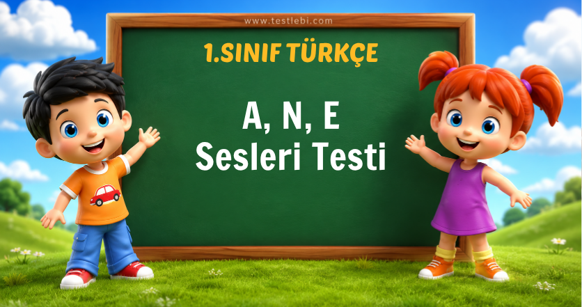 1. Sınıf Türkçe A, N, E Sesleri Testi
