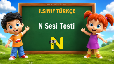 1. Sınıf Türkçe N Sesi Testi
