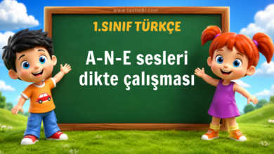 1. sınıf A-N-E sesleri dikte çalışması