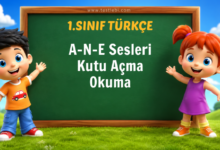 1. sınıf Türkçe, A N E sesleri, kutu açma oyunu, okuma etkinliği, hece okuma, kelime okuma