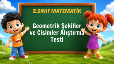 2. Sınıf Geometrik Şekiller ve Cisimler Alıştırma Testi