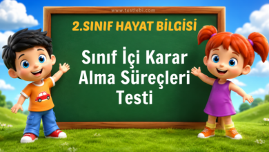 2. Sınıf Hayat Bilgisi Sınıf İçi Karar Alma Süreçleri Testi
