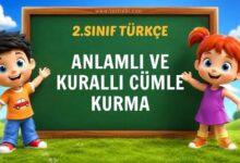 2. sınıf anlamlı ve kurallı cümle kurma testi