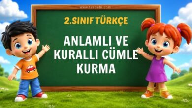 2. sınıf anlamlı ve kurallı cümle kurma testi