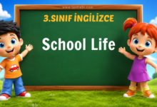 3. Sınıf İngilizce School Life