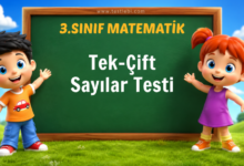 3. Sınıf Tek-Çift Sayılar Testi