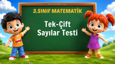 3. Sınıf Tek-Çift Sayılar Testi