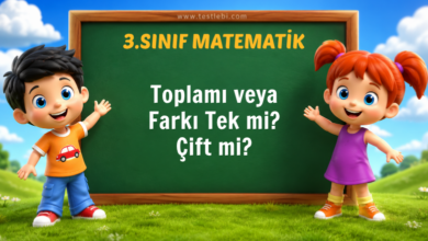 3. Sınıf Toplamı veya Farkı Tek mi Çift mi