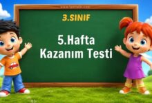 3. Sınıf 5. Hafta Kazanım Testi