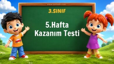 3. Sınıf 5. Hafta Kazanım Testi