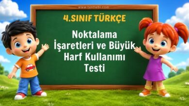 4. sınıf öğrencileri için hazırlanan bu test ile noktalama işaretleri ve büyük harflerin doğru kullanımını eğlenceli sorularla pekiştirin.